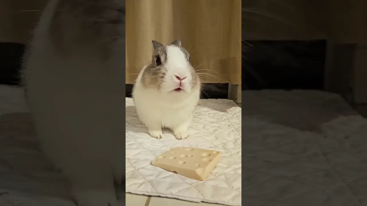 Натуральна жувальна іграшка для гризунів Ferplast Tiny&Natural Cheese Bag