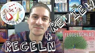 Review + Regelübersicht Flügelschlag Asien