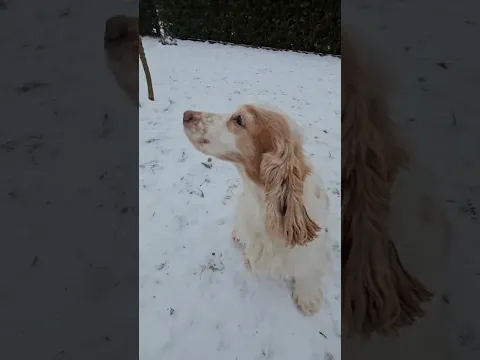 youtube-video-thumbnail