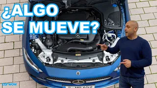 SALVARÁN LOS COMBUSTIBLES SINTÉTICOS AL MOTOR DE COMBUSTIÓN?