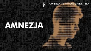 Pawbeats ft. Kartky - Amnezja