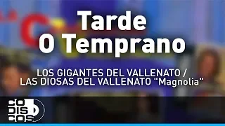 Tarde O Temprano, La Combinación Vallenata - Audio