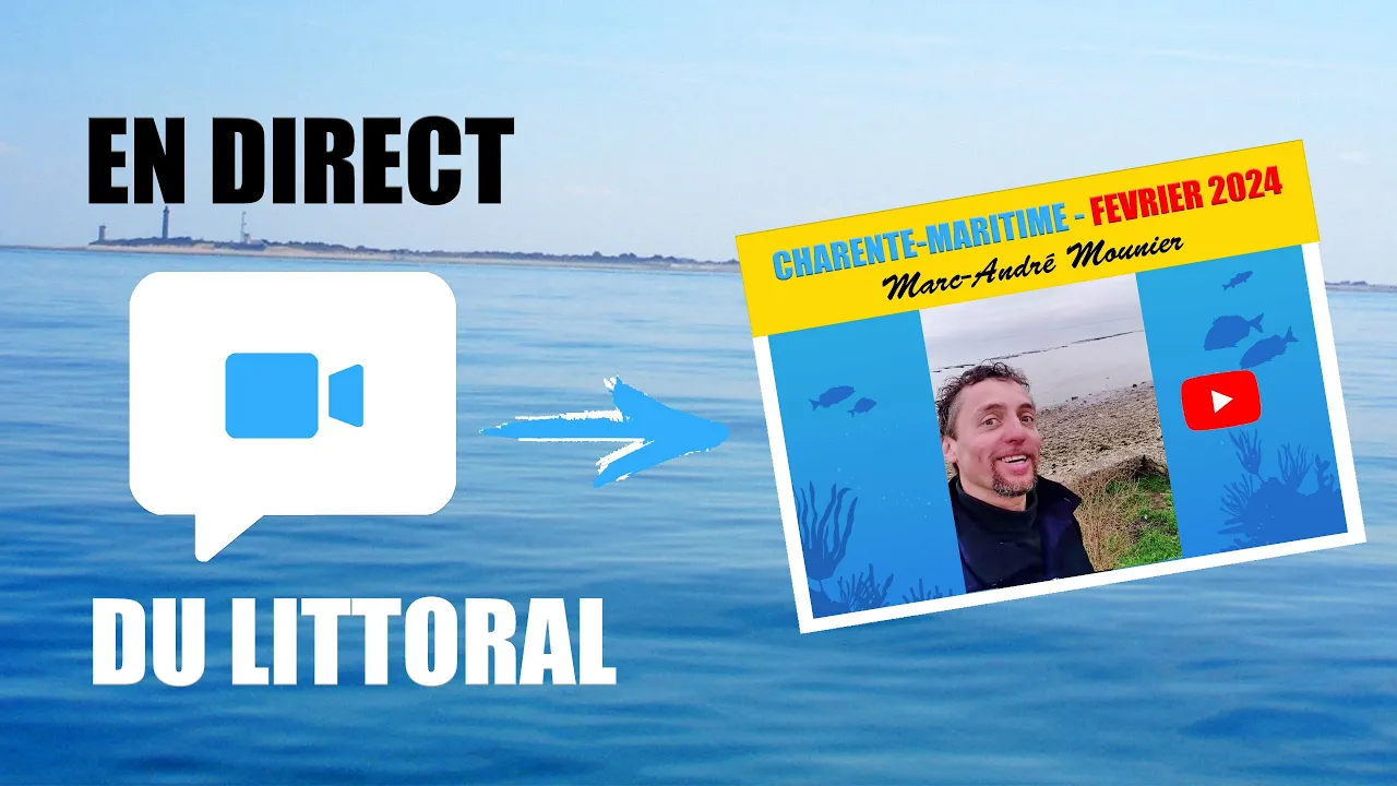 Vignette de la vidéo