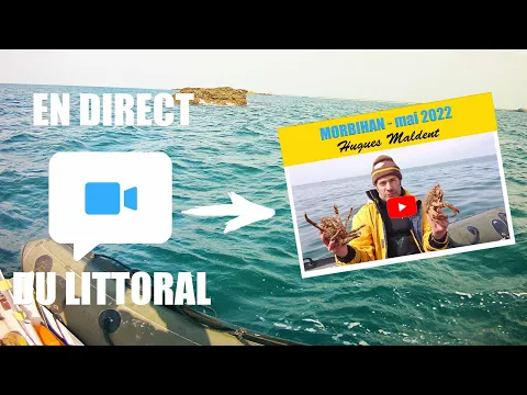 Vignette de la vidéo