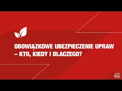 youtube-video-thumbnail