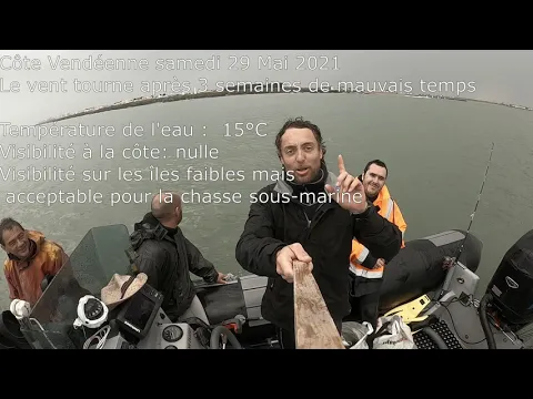 Vignette de la vidéo