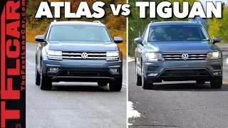 Buffalo, Grizzly Bears & Geysers: 2018 VW Atlas vs Tiguan Yellowstone Road Trip Review!