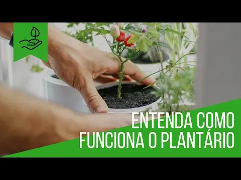 Estufa 4 Vasos Branco Bivolt Plantário