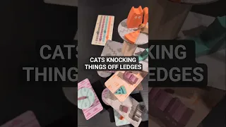 knock everything off the ledge #boardgames #dexterity #games