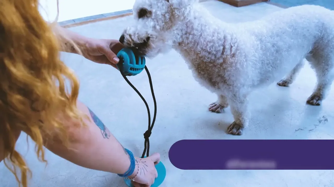 Video de SHOP.Petiko