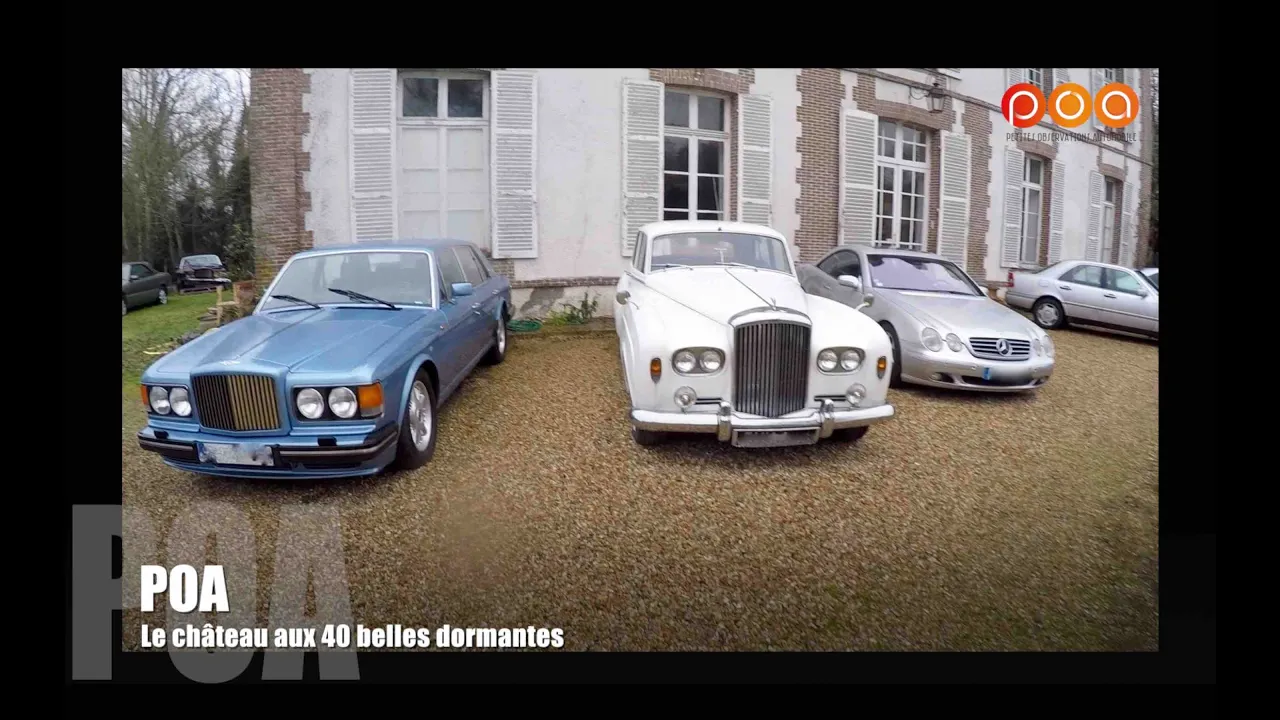 Le château aux 40 belles dormantes