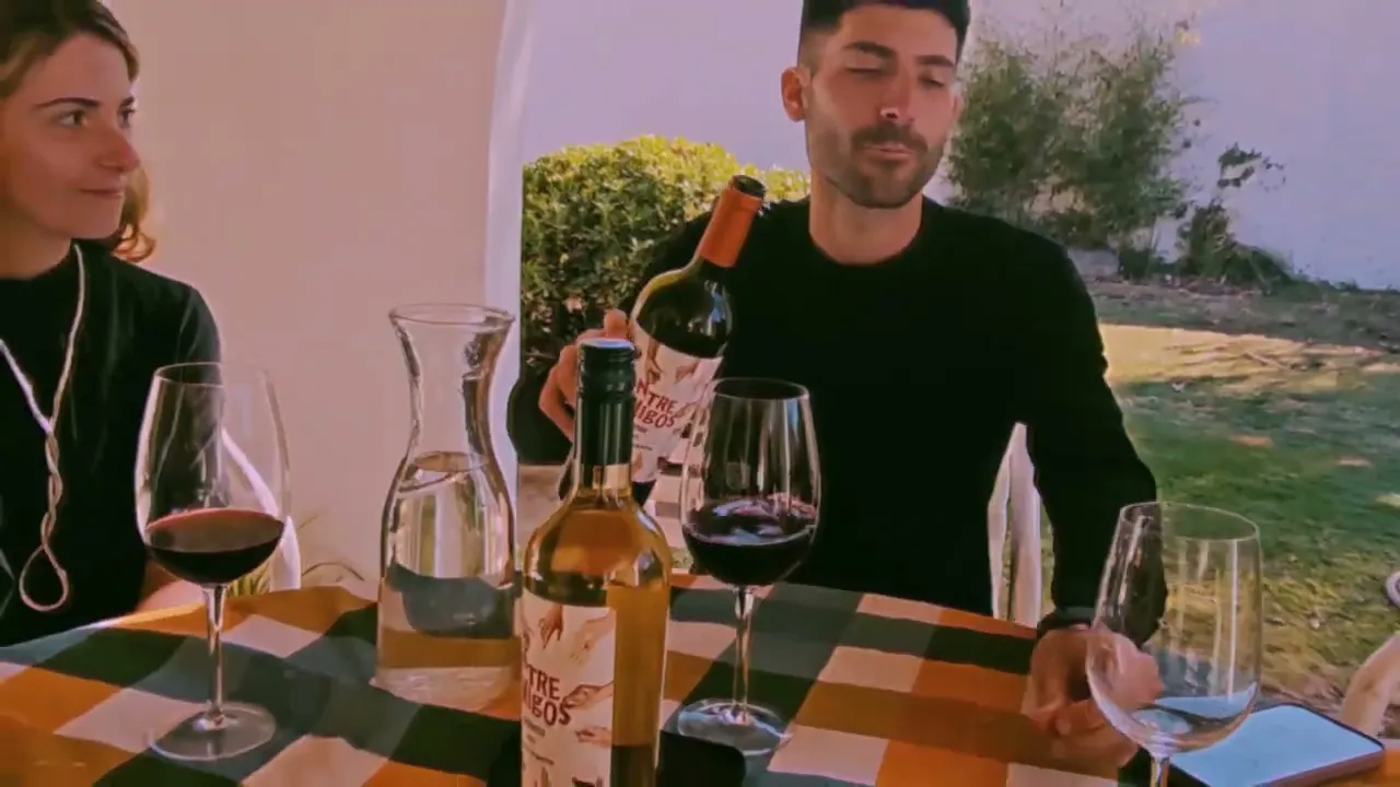 Video de BODEGA TORRELEONES