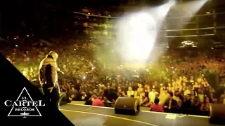 Daddy Yankee - The Big Boss en Calibash (2011) [Live]