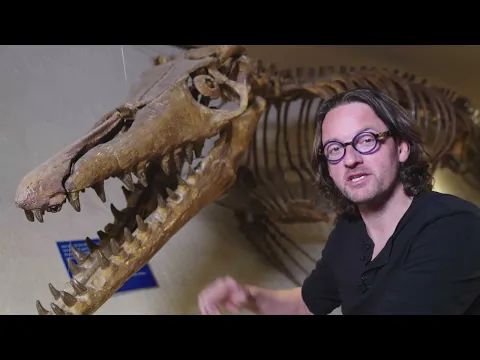 youtube-video-thumbnail