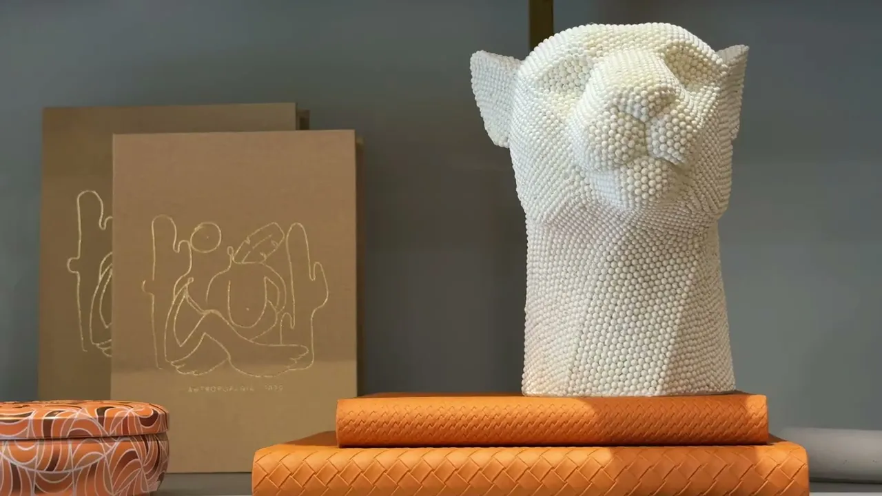 Video de Casa Gorski