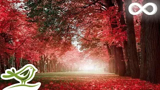 Beautiful Relaxing Music - Romantic Music with Piano, Cello, Guitar & Violin | &quot;Autumn Colors&quot;