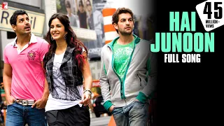 Hai Junoon Song | New York | John Abraham, Katrina Kaif, Neil Nitin Mukesh | KK | Pritam | है जुनून