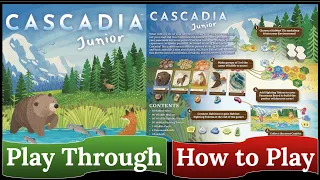 Cascadia Junior: How to Play & Play Through