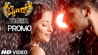 Tiger Promo | Beladingala Raatri Video Song Promo | Pradeep, Madhurima | Arjun Janya | Nanda Kishora