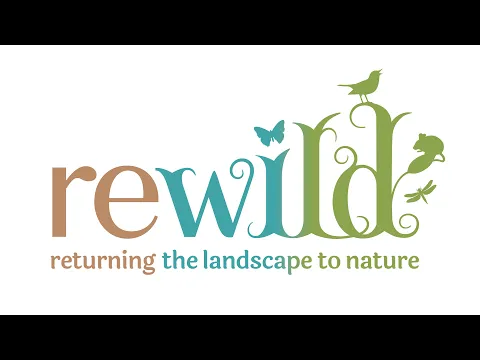 Rewild: How to play