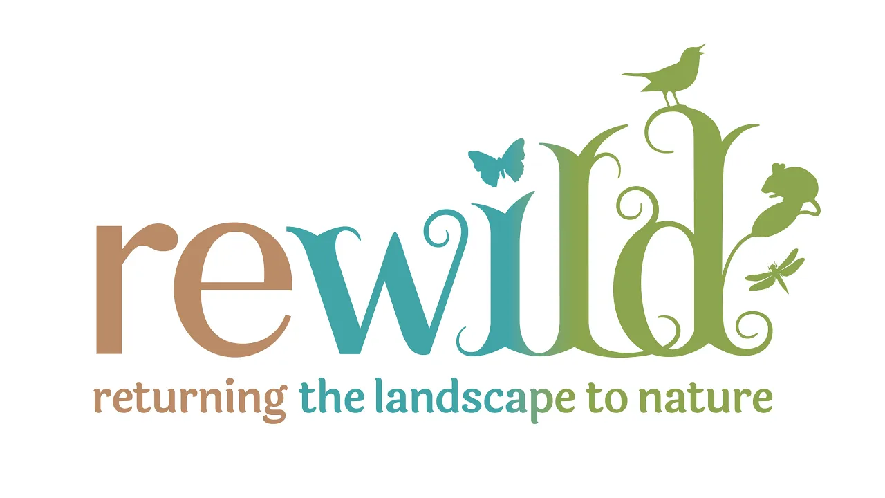 Rewild: How to play