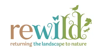 Rewild: How to play