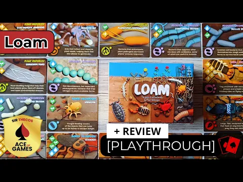 Solo Playthrough + Review | Loam