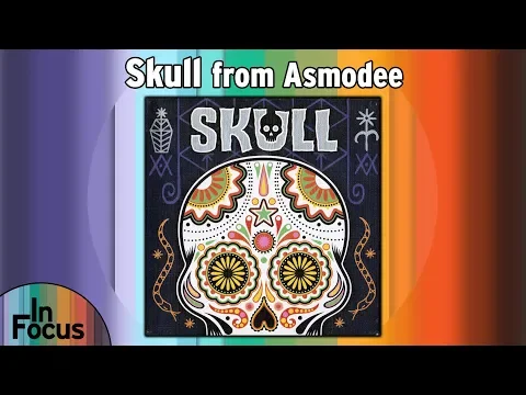 Skull - In Focus