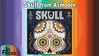 Skull - In Focus