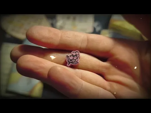 Fromage - Unboxing