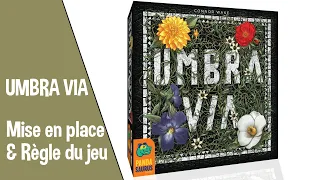 ❓🎲 [Comment... Y JOUER ?] Umbra Via - Mise en place et règle du jeu + mon avis