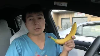 Teslabjørn's vlog 2017.07.03