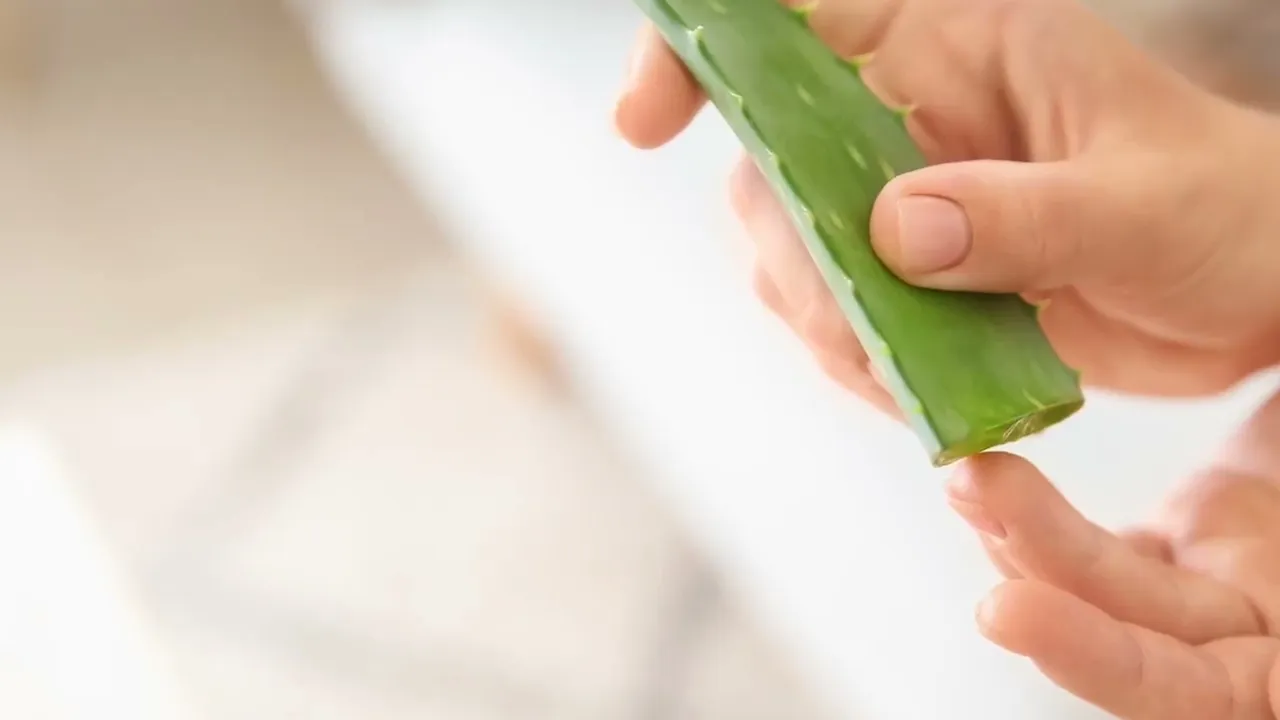 Video de Quero Babosa BR 