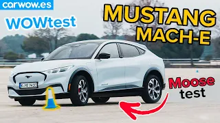 FORD MUSTANG MACH-E: A FONDO EN EL NUEVO CIRCUITO DE PRUEBAS #wowtest1