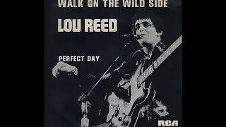 Lou Reed ~ Walk On The Wild Side 1972 Glam Rock Purrfection