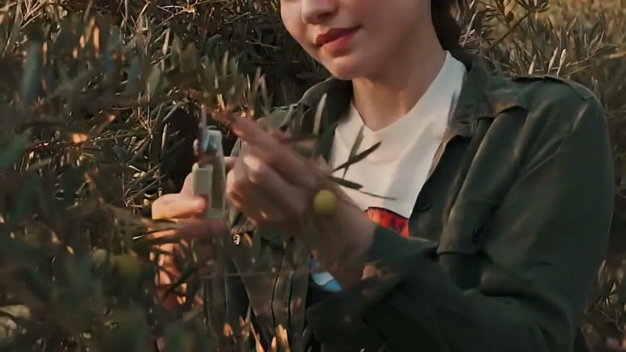 Video de Sierra Pura