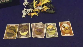 Bower's Game Corner: Wildlife Safari Review