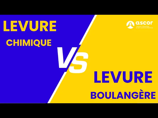 YouTube video preview image