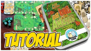 Lost Rubies of the Amazon TUTORIAL- Solo Player Mint Tin Game