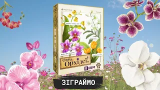Нумограй від Renko Play