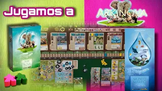 Ark Nova Mundo Marino. Partida con muchos animalillos 🦁🐘🦅