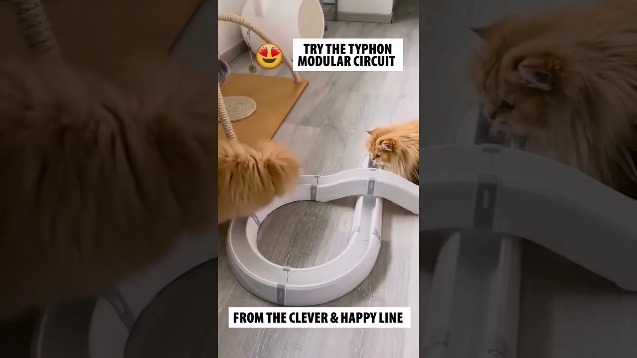 Модульная игрушка для кошек Ferplast Typhon