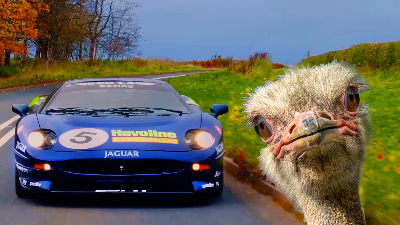 LOST SUPERCAR DISCOVERED IN OSTRICH SHED