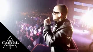 Daddy Yankee show Republica Dominicana may 2011 (Live)