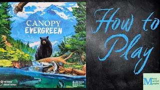 Canopy Evergreen - How to Play