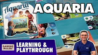 Aquaria: Learning & Playthrough