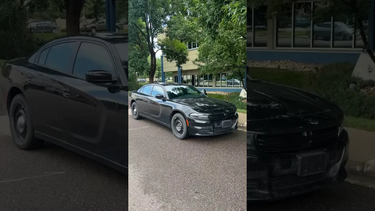 Secret Police Car Features 🤫