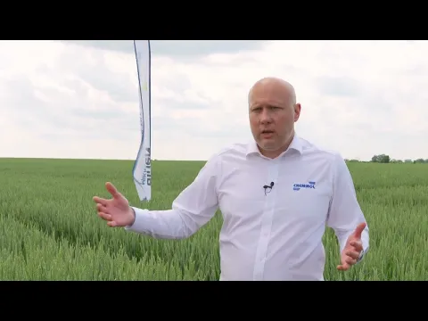 youtube-video-thumbnail