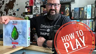 D.E.I Divide et Impera board game- how to play solo