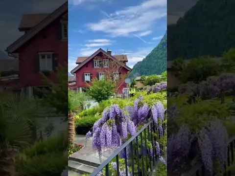 youtube-video-thumbnail